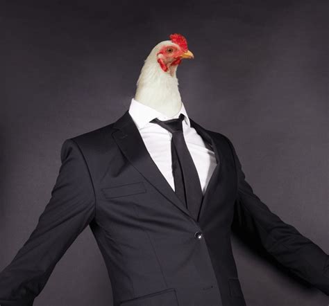 385 Chick Suit Isolated Images Stock Photos 3d Objects And Vectors