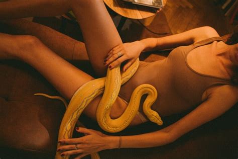 Que signifie rêver d être mordu par un serpent Dictionnaire des Reves