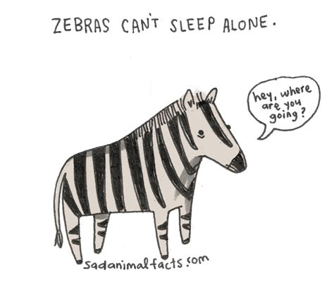 Sad Animals Facts Thatll Make You Slightly Depressed Demilked