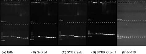 Comparison Of Different Gels Prestained Agarose Gel A Etbr B