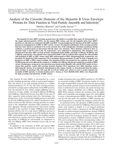 [PDF] Analysis of the Cytosolic Domains of the Hepatitis B Virus ...