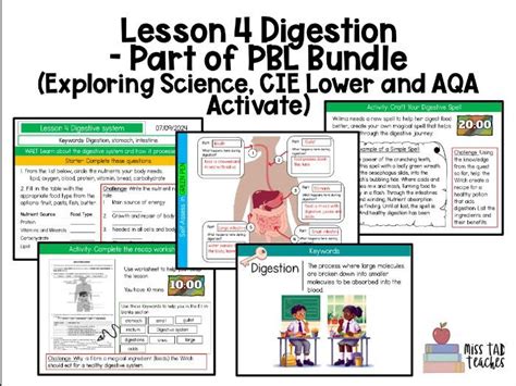 Diet Nutrition And Food Bundle Lesson 1 4 Unit Ks3 Aqa Activate