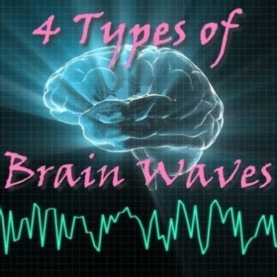 Dr Oz Types Of Brain Waves Theresa Caputo Eeg Brain Scan Results