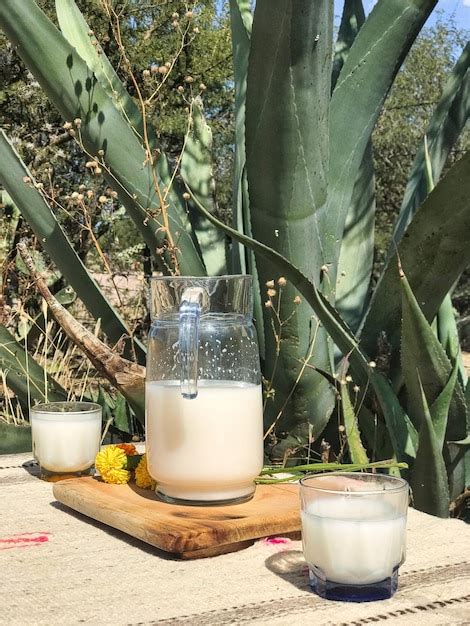 Premium Photo Savor The Flavors Of Mexico With Pulque A Refreshing