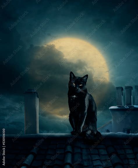 Black cat on roof and full moon. Scary halloween design layout for halloween night party poster ...