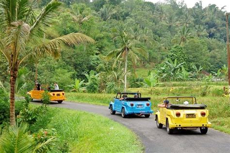 Ubud Vw Safari Bali Tour Volkswagen Classic Car Trip Diskon Harga