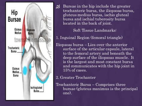 Bursare In Lower Extrimity