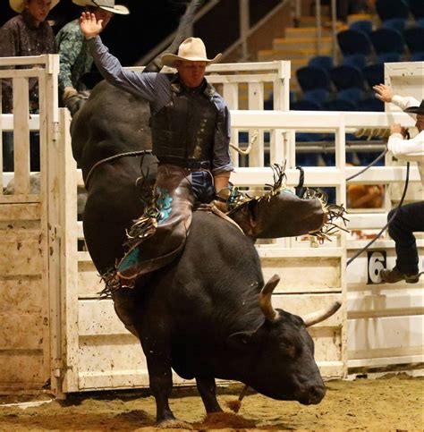 Black Barney Qsec 2014 Beenleigh Show Society