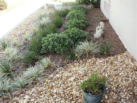 Florida Landscaping Shrubs | How To Grade Landscape