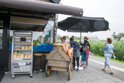 Wiatraki W Kinderdijk Czy Warto I Tak I Nie Matkawariatka Pl