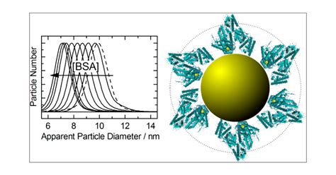 Sensitive Analysis Of Protein Adsorption To Colloidal Gold By Differential Centrifugal