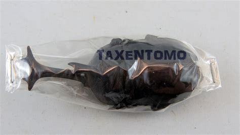 Trypoxylus Dichotomus