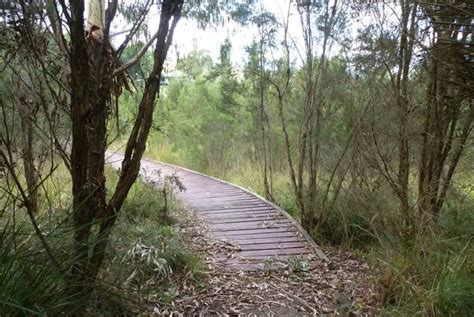 Birdsland Reserve South Belgrave Dandenong Ranges