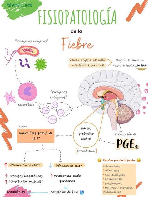 Fisiopatologia De La Fiebre