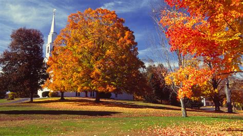 16 Best Hotels In Brimfield Kayak