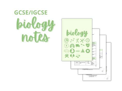 Gcse Igcse Biology Notes Human Nutrition Teaching Resources