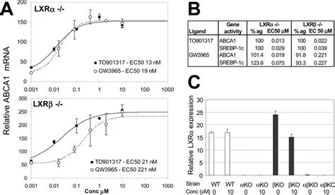 Lxr Mediated Regulation Of Abca And Srebp C Gene Expression In