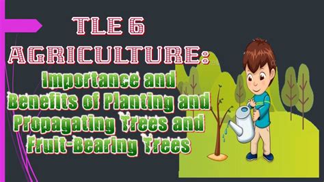 Tle 6 Ag Importance And Benefits Of Planting And Propagating Trees