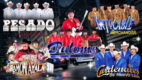 Ramon Ayala Cardenales de Nuevo León Pesado Intocable Palomo Los