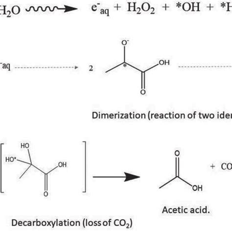 Proposed mechanism for the radiolysis of pyruvic acid. | Download ...