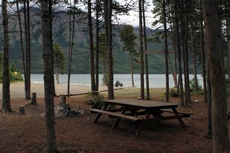 Camping Along The Alaska Highway