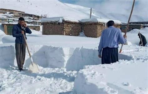 فرماندار ارتفاع برف در برخی مناطق سنقر به یک متر رسید راه ۱۹۰ روستا