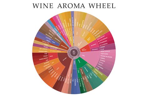 Identifying Wine Aromas Corporate Private Cabin Crew Training