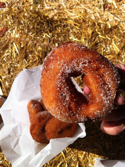 Apple Cider Donut From Apple Hill Apple Cider Donuts Cider Donuts