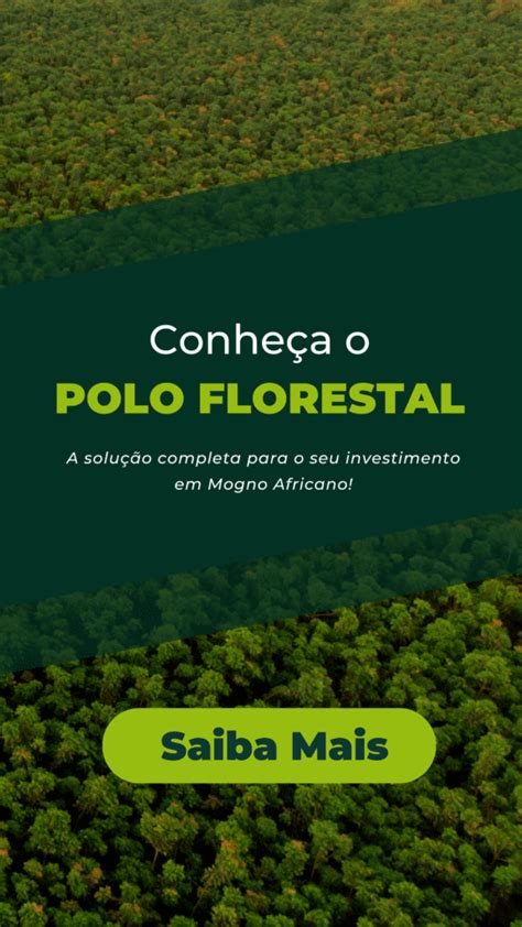 Florestas plantadas produção e consumo de madeira IBF