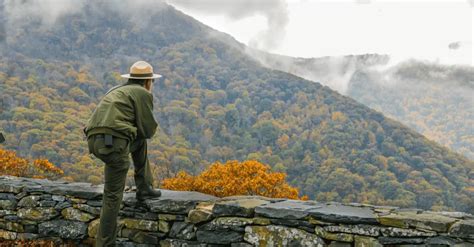 Comment Devenir Garde Forestier