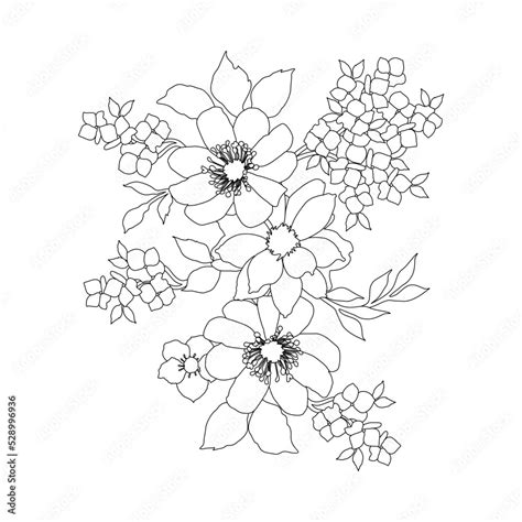 Flower Line Artssilhouette Art Line Flower Patternsoutline Black And