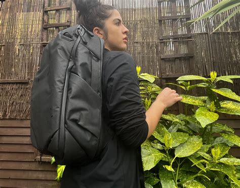 Peak Design L Travel Backpack Review Unbiased