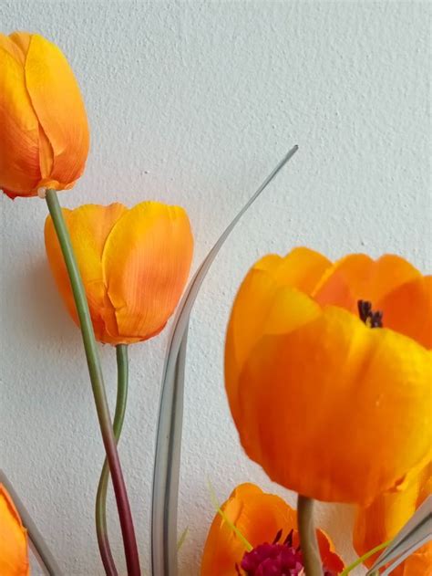 Symbolism Of Tulips Meaning And History Behind Flowers Sarah Scoop