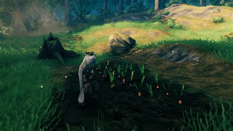 How to plant seeds in Valheim to grow food and trees | GamesRadar+