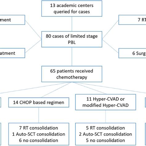 Treatment Flow Chart Auto‐sct Autologous Stem Cell Transplant Chop Download Scientific