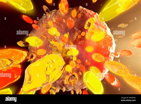 Synaptic cleft hi-res stock photography and images - Alamy