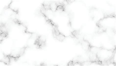 High Resolution White Carrara Marble Stone Texture Vector Art