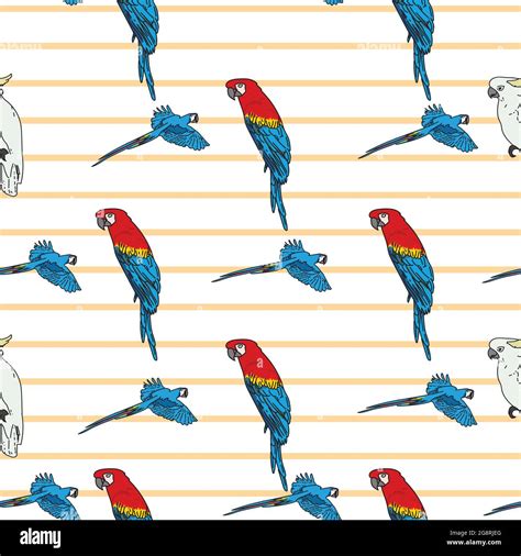 Vector White Background Tropical Birds Parrots Macaw Exotic Cockatoo