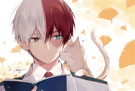 Shoto Todoroki With Cat Hd Wallpaper By Nec Mi