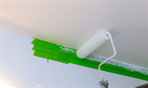 Best Paint For Mouldy Bathroom Ceiling - Image of Bathroom and Closet