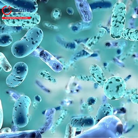 Thuốc Bacillus clausii có tác dụng gì với sức khoẻ Uống trước hay sau ăn