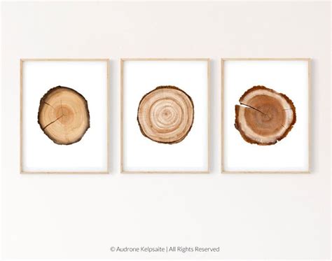 Tree Ring Printable Wall Art Set Of 3 Tree Stump Instant Digital Print