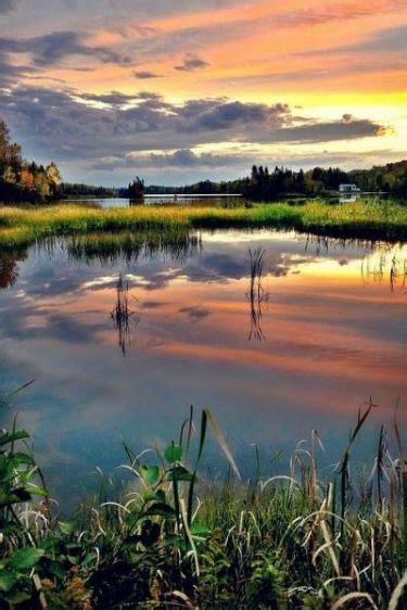 Pin by StavroulaR21 on Landscapes & Flowers | Beautiful nature, Nature ...