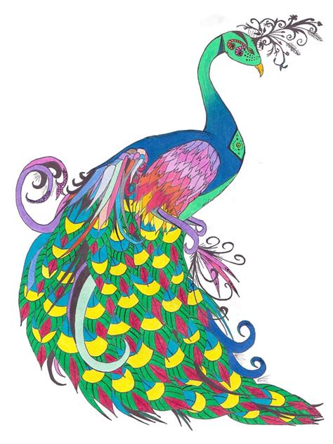 "Rainbow Peacock" by Riley J. Broadbent | Redbubble