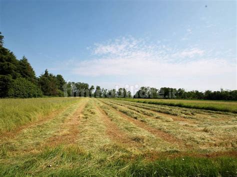 Terreno Agricolo Via Giacomo Matteotti Cambiago Rif 82844627