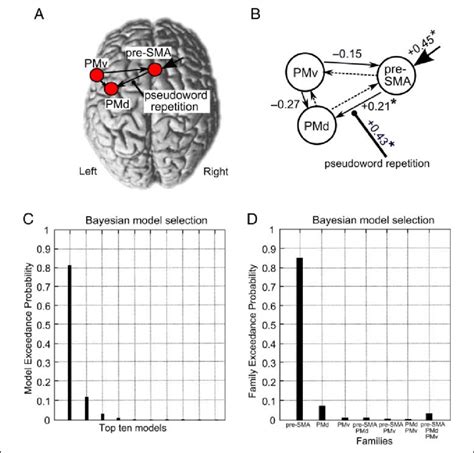 Results From The Dcm Analyses A The Winning Model Of The 63 Tested