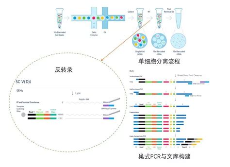 Genomics