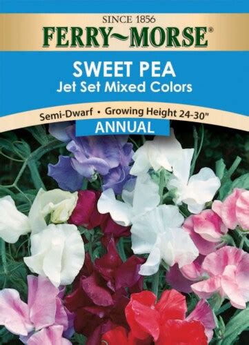 Ferry Morse Jet Set Mixed Colors Sweet Pea Seeds 1 Ct Kroger