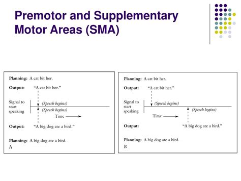 Ppt The Motor System And Its Disorders Powerpoint Presentation Free