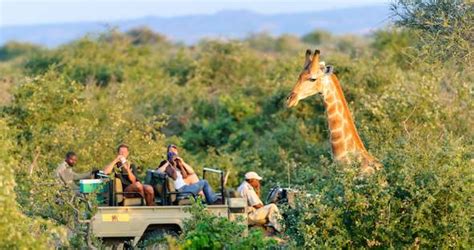 Popular Botswana Tours and Safaris by Siyabona Africa